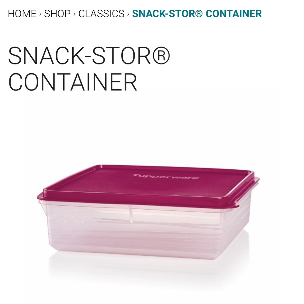 Tupperware Square Storage Container